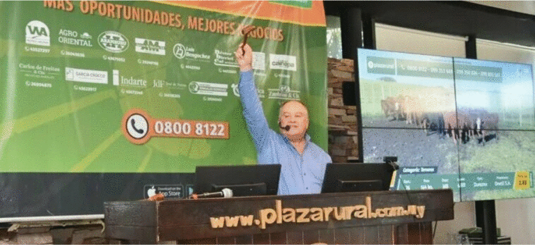 Lee más sobre el artículo Valores del ganado a faena lejos de satisfacer la expectativa del productor