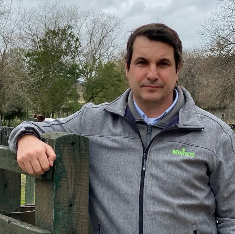 Lee más sobre el artículo Los ejemplares Hereford, Angus y Braford resaltaron en el certamen sudamericano de  Breeders.net