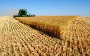 Lee más sobre el artículo Señales positivas en el complejo agrícola al cerrar el año