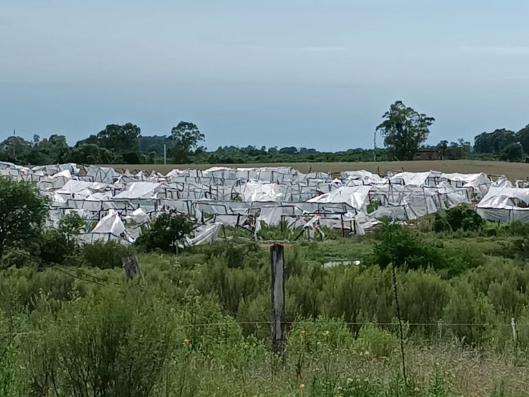 Lee más sobre el artículo Víctimas fatales y pérdidas materiales por fuertes vientos y lluvia en el suroeste