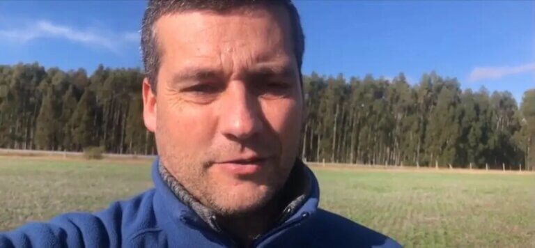 Lee más sobre el artículo Cosechón de invierno con intensa movida de siembras de soja y maíz