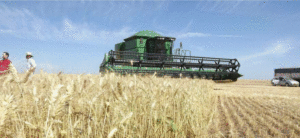Lee más sobre el artículo Super movida agrícola con cosechas y siembras de verano