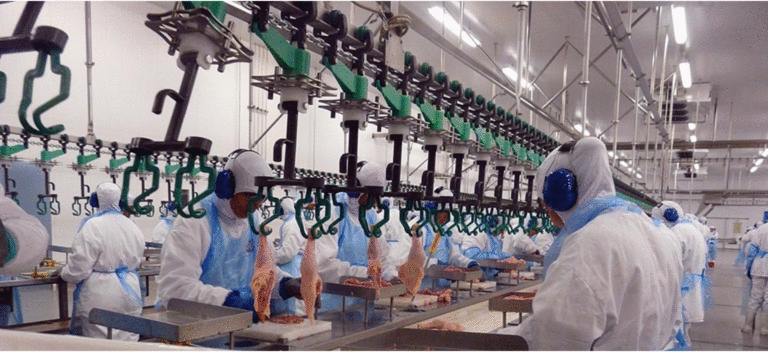 Lee más sobre el artículo La carne aviar con crecientes desafíos comerciales