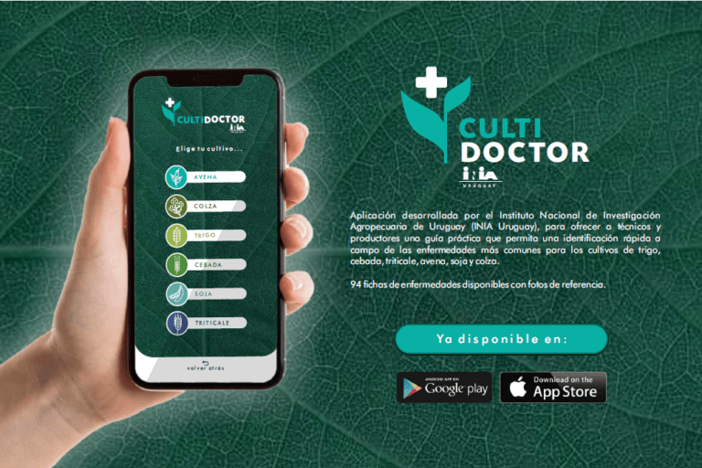 Lee más sobre el artículo Culti Doctor_Uy ayudará a identificar las principales enfermedades agrícolas