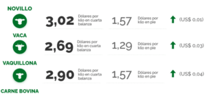Lee más sobre el artículo Una elevada faena y valores firmes para las haciendas
