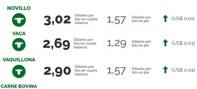 Lee más sobre el artículo Una elevada faena y valores firmes para las haciendas
