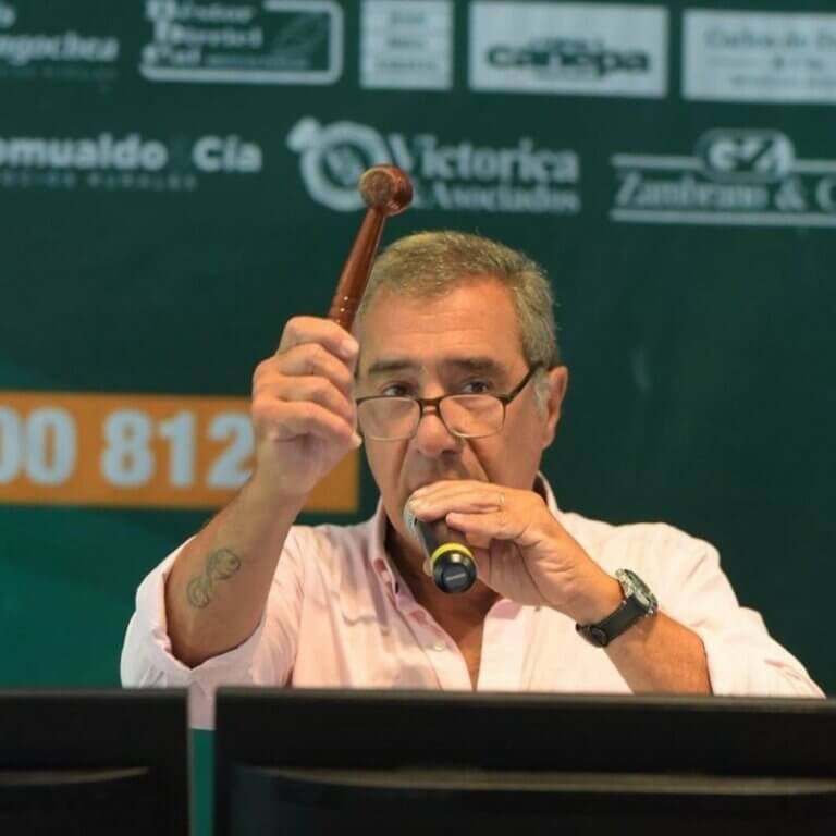 Lee más sobre el artículo Sostenida recuperación de las cotizaciones ganaderas en enero