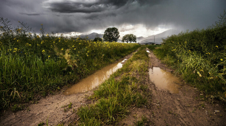 Lee más sobre el artículo Discontinuadas las lluvias retornarán en principios de febrero