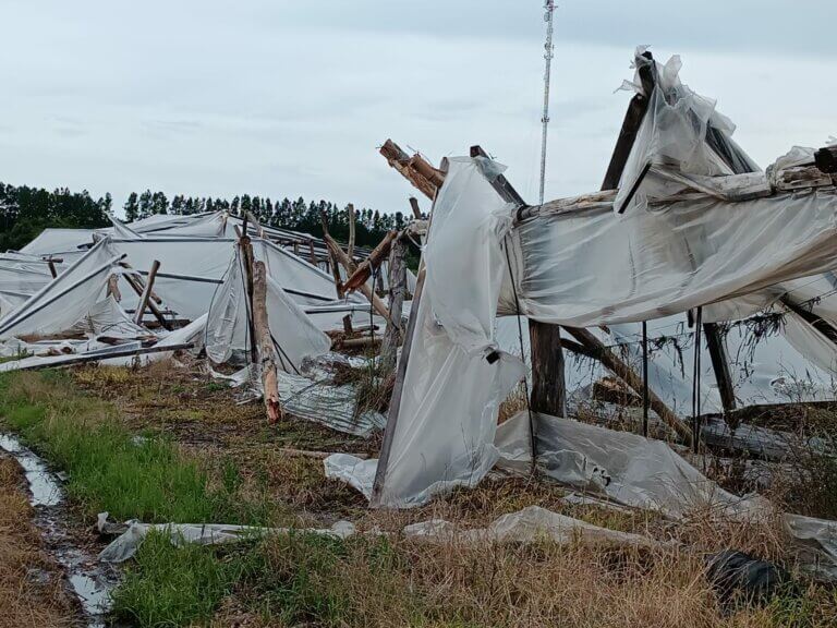 Lee más sobre el artículo Cesa la emergencia agropecuaria a excepción del sector granjero