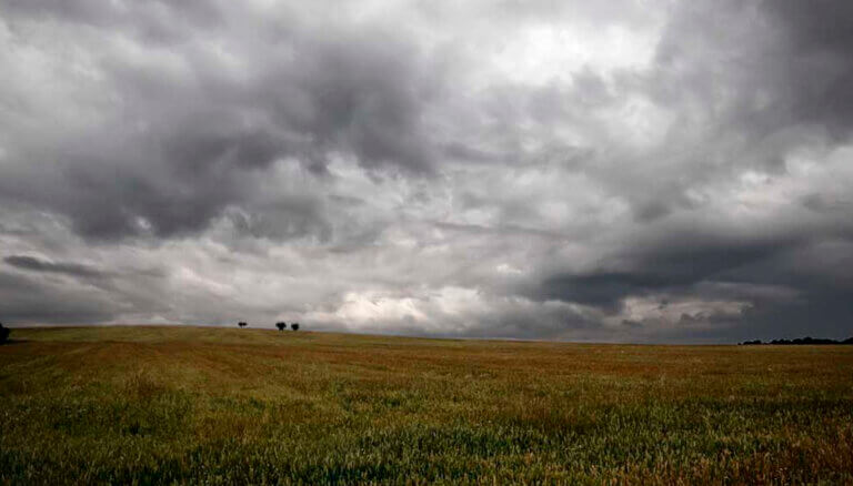 Lee más sobre el artículo Las condiciones para el campo y la playa en el arranque de 2024
