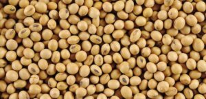 Lee más sobre el artículo El sector agrícola espera un rebote en las cotizaciones de los principales productos