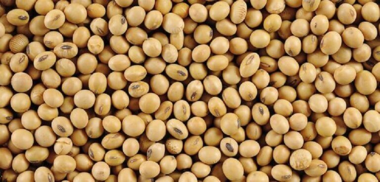 Lee más sobre el artículo El sector agrícola espera un rebote en las cotizaciones de los principales productos