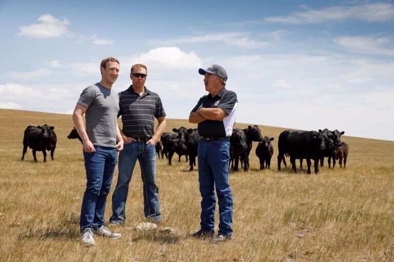 Lee más sobre el artículo Mark Zuckerberg desde Facebook a la cría de Angus y Wagyu