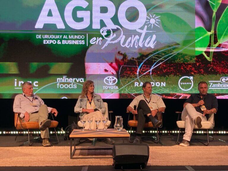 Lee más sobre el artículo La ganadería de bajo costo y amplios márgenes