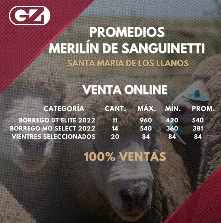 Lee más sobre el artículo A tono con la coyuntura avanza la zafra ovina