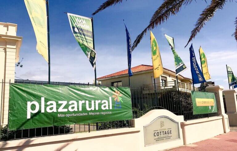 Lee más sobre el artículo Sostenida venta de ganado de reposición en el segundo de tres remates de Plaza Rural este mes