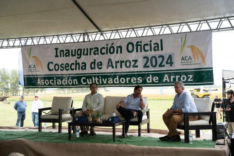 Lee más sobre el artículo El atraso cambiario ensombrece el histórico momento del sector arrocero