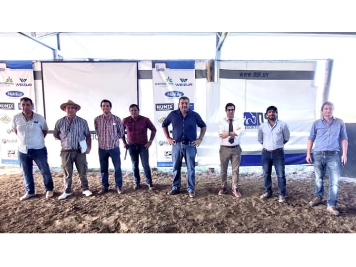 Lee más sobre el artículo Zafra de ganado lechero con inicio temprano y el objetivo de producir más