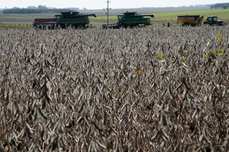 Lee más sobre el artículo Los agricultores definen posición comercial con la soja en el eje de los US$ 400 por tonelada