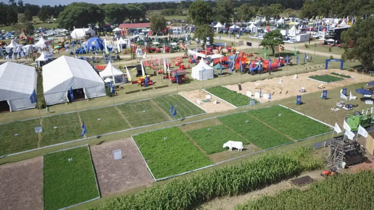 Lee más sobre el artículo La Expo Rural Melilla con el compromiso de producir en forma sostenible e inteligente