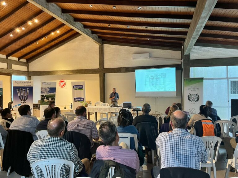 Lee más sobre el artículo Cómo alimentar para maximizar el pico de lactación y el reinicio de la ciclicidad