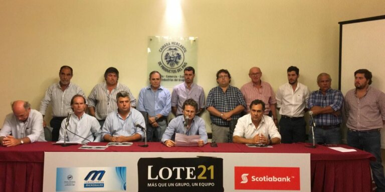 Lee más sobre el artículo La firmeza en los precios acompaña al mercado ganadero