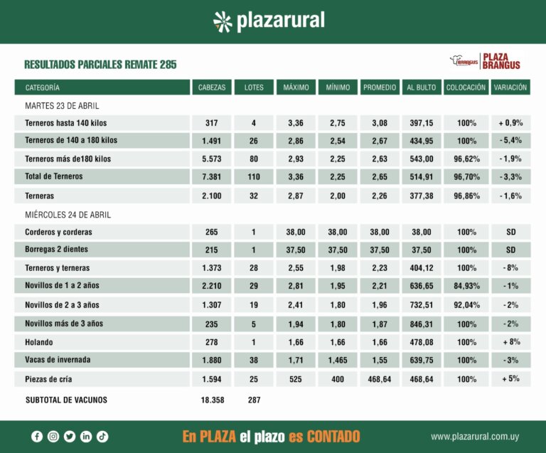 Lee más sobre el artículo La exportación y el productor mano a mano en Plaza Rural