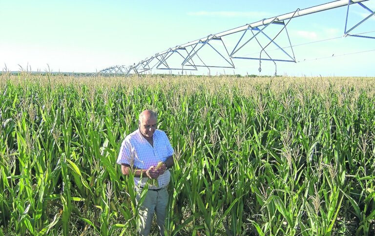 Lee más sobre el artículo Los valores agrícolas sin chance de grandes cambios