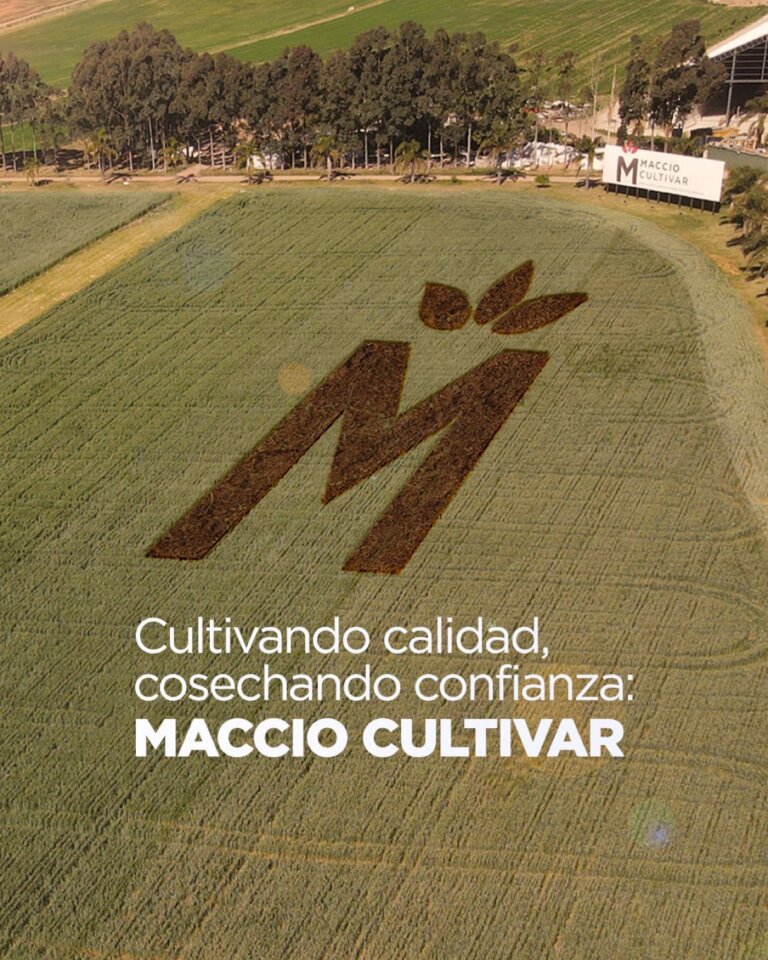 Lee más sobre el artículo Un paquete de soluciones para asegurar los máximos rendimientos agrícolas