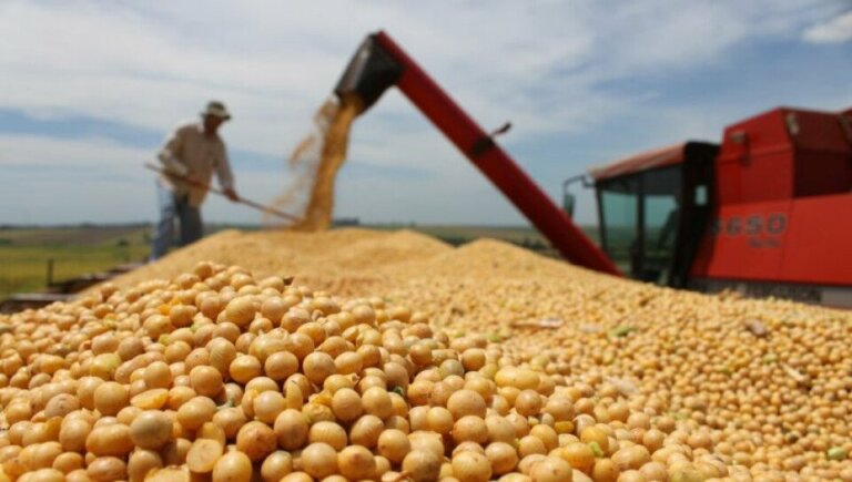 Lee más sobre el artículo El clima promueve el despegue de los precios agrícolas