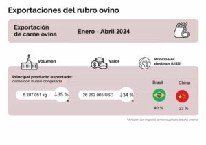 Lee más sobre el artículo El rubro ovino bajo el golpe de la menor demanda global