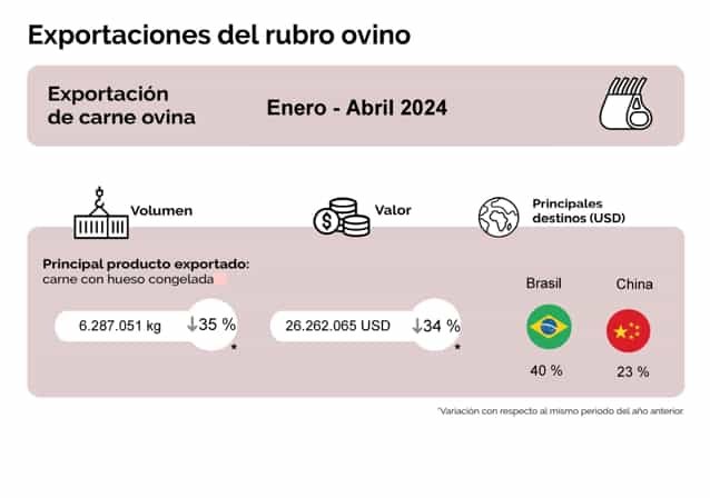 Lee más sobre el artículo El rubro ovino bajo el golpe de la menor demanda global