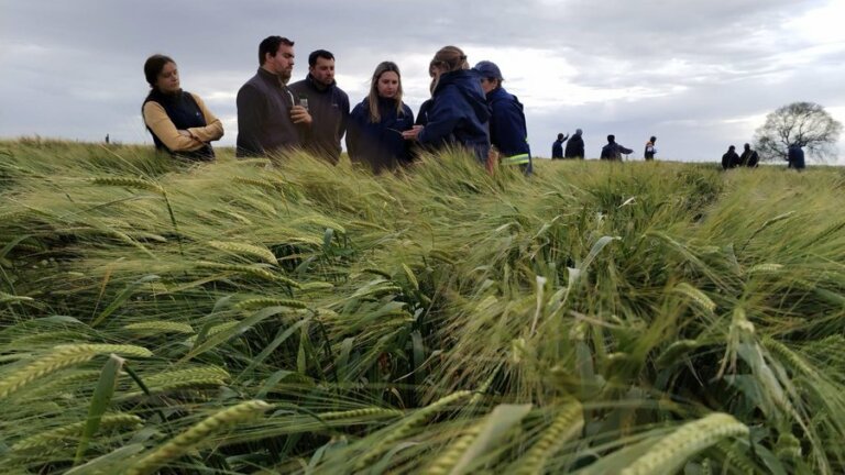 Lee más sobre el artículo La productividad despega, edición especial de Cultivos de Invierno