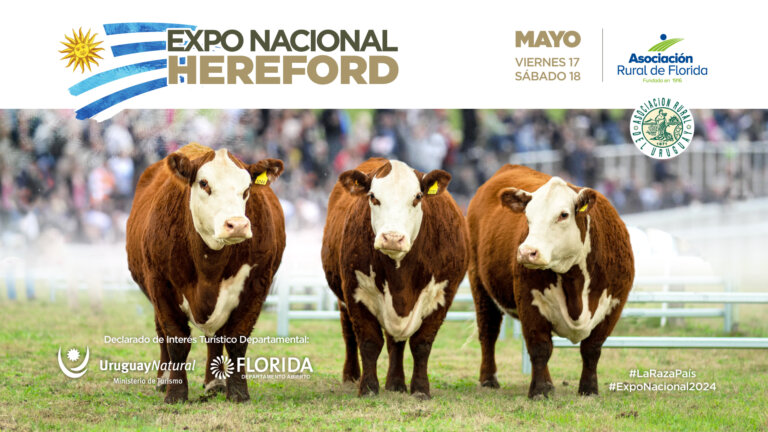 Lee más sobre el artículo La Expo Nacional Hereford llega a la Rural de Florida