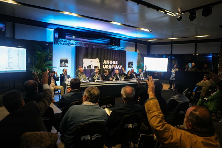 Lee más sobre el artículo Angus satisface la demanda en cada eslabón de la cadena cárnica