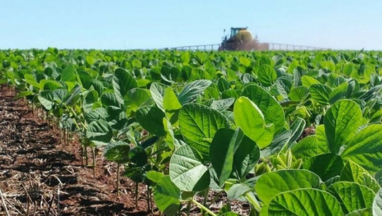 Lee más sobre el artículo «La Niña» se debilita en las proyecciones hacia el tercer trimestre del año