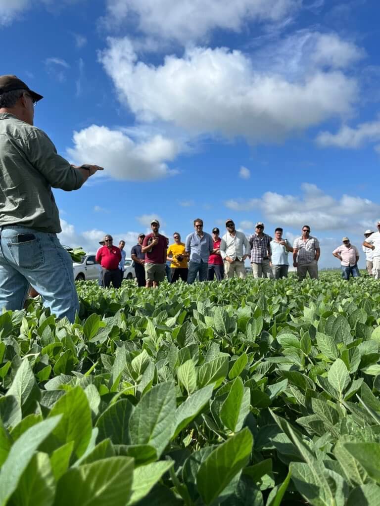 Lee más sobre el artículo Conocimientos, experiencias y soluciones frente a las necesidades agrícolas puntuales