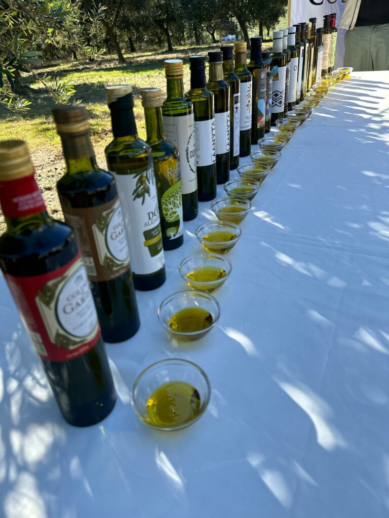 Lee más sobre el artículo La menor cosecha de olivos dispara el precio del aceite y atrae la oferta de menor calidad