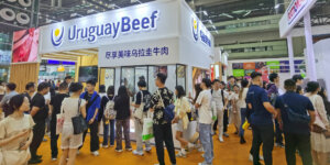 Lee más sobre el artículo Despegue de la demanda de carne y granos con menores valores