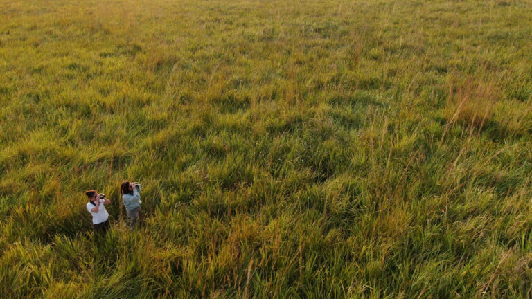 Lee más sobre el artículo Definen certificaciones para asegurar las exportaciones libres de deforestación