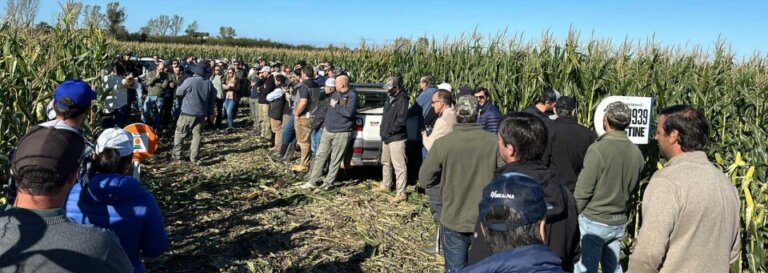 Lee más sobre el artículo Capacitación: preparan visita al Cinturón Maicero y el Farm Progress Show