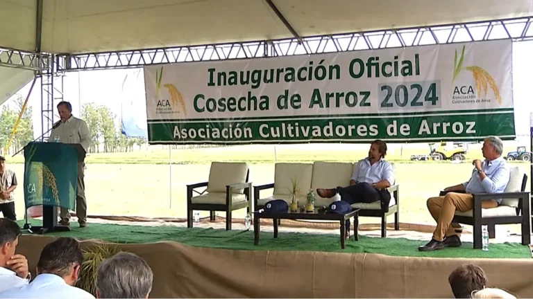 Lee más sobre el artículo Máximo histórico para el precio provisorio del arroz