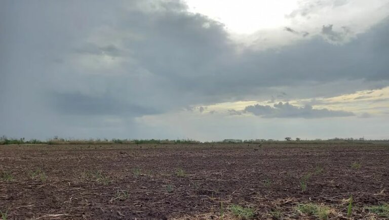 Lee más sobre el artículo El Niño pone en riesgo la zafra agrícola de invierno