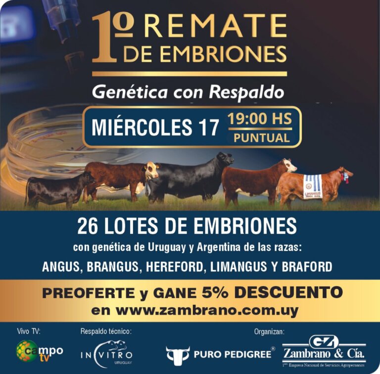 Lee más sobre el artículo El primer remate de embriones Genética con Respaldo logró ventas totales