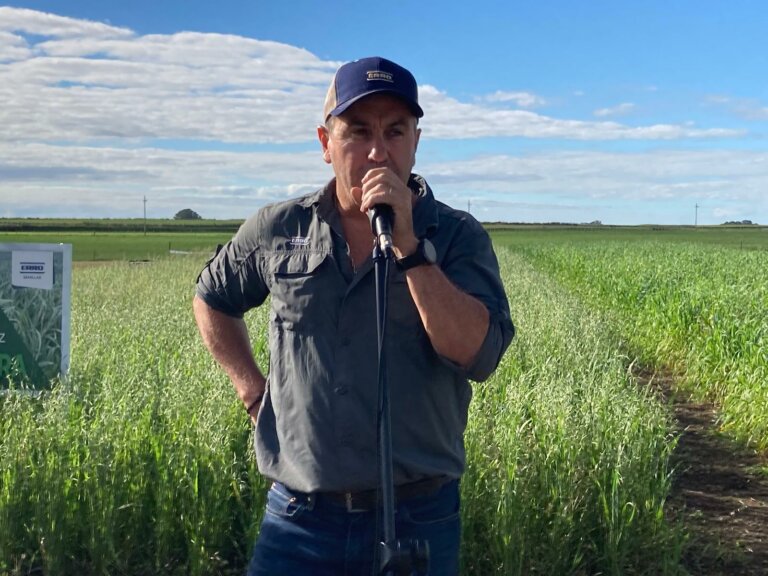 Lee más sobre el artículo La Camelina demuestra su potencial en un momento estratégico