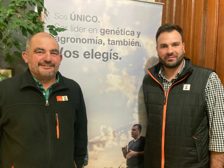 Lee más sobre el artículo El maíz ofrece la revancha en la próxima zafra