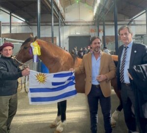 Lee más sobre el artículo «Buenazo» se prepara para la Expo Prado tras lograr el premio de Reservado Gran Campeón en Palermo