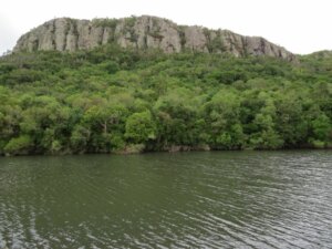 Lee más sobre el artículo El mayor costo que tienen los productos certificados libres de deforestación