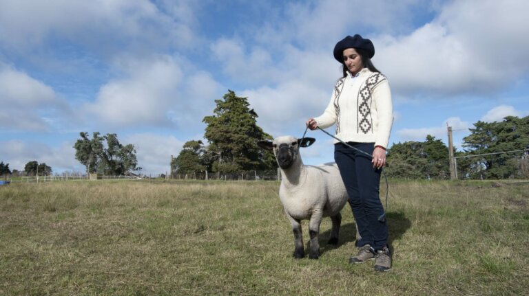 Lee más sobre el artículo «Agraria Serena» y su largo viaje desde Montes a la Exposición Rural de Palermo