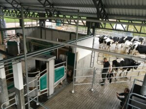 Lee más sobre el artículo Promueven los sistemas pastoriles eficientes y sostenibles en el sector lechero